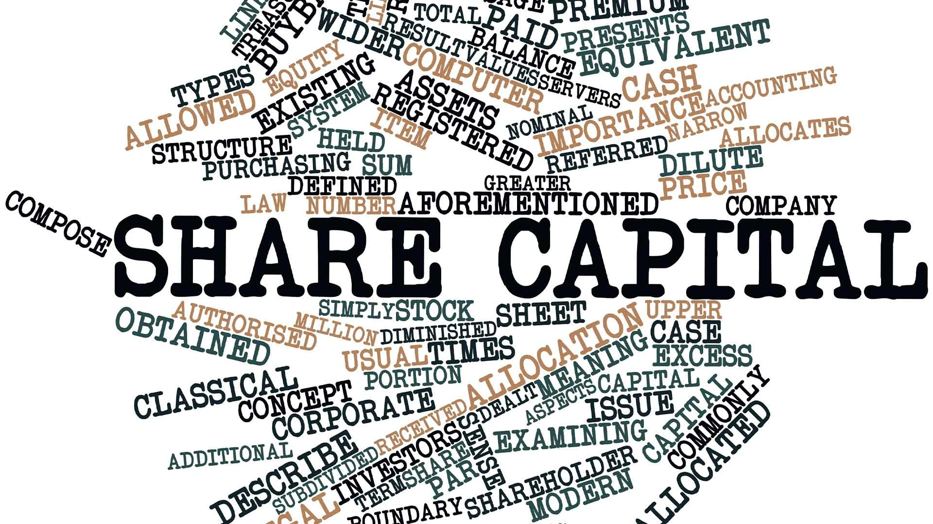 Investment-Share-Capital
